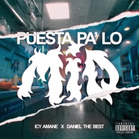Puesta pa' lo mío (feat. Daniel The Best & Kalen Sensei) - Single - Icy Amane