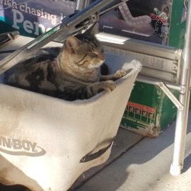 Land They Forgot (feat. Athryn) JoshIGuess