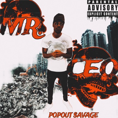 Mr.Ceo
