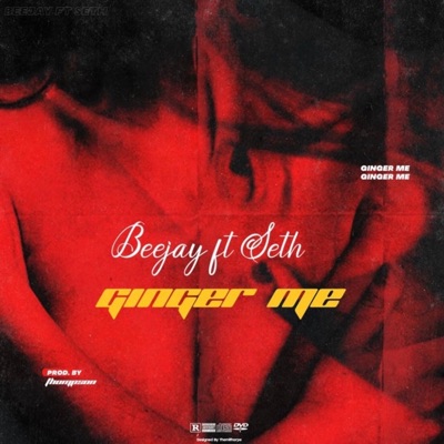 Ginger Me (feat. Boi Seth) - Single