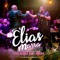 Eu Sou do Bem (feat. Xande de Pilares) - Elias Marra lyrics