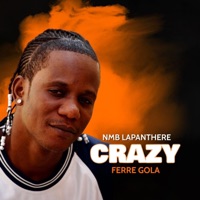 Crazy (feat. Ferre Gola) - Single - Nmb Lapanthere