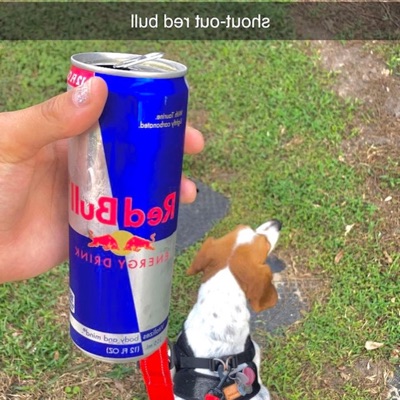 Shout-Out Redbull - Single