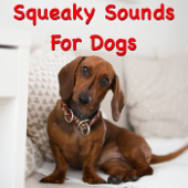 Fart Sounds