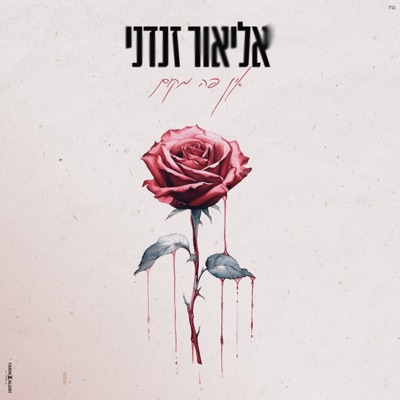 אין פה מקום - Single