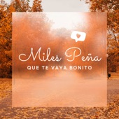 Que Te Vaya Bonito artwork