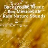 Background Music Box Music with Rain Nature Sounds