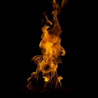 Fuego! (feat. Lyu.Wav) - Single - Pyo-R