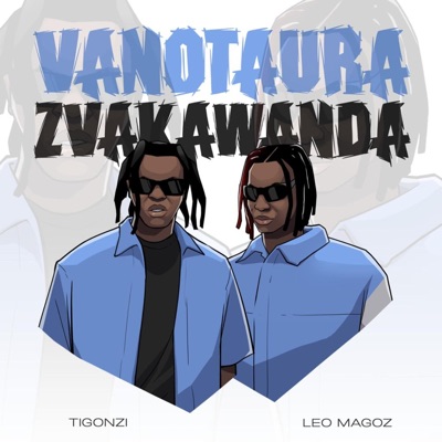 Vanotaura Zvakawanda (feat. Leo Magoz) - Single