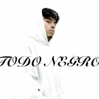 Todo Negro - Single - WALT MUSIC