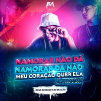 Namorar Não Dá Namorar da Não Meu Coração Quer Ela X Tiktok - Single - DJ Brazão & DJ GG Sucesso
