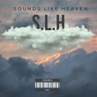 Chang3 - Slh