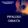 Pipaluko Chhaya - Single