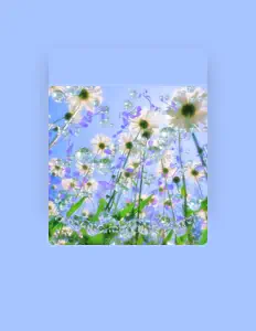 Field dinle, müzik videolarını izle, biyografisini oku, tur tarihlerini ve daha fazlasını gör!