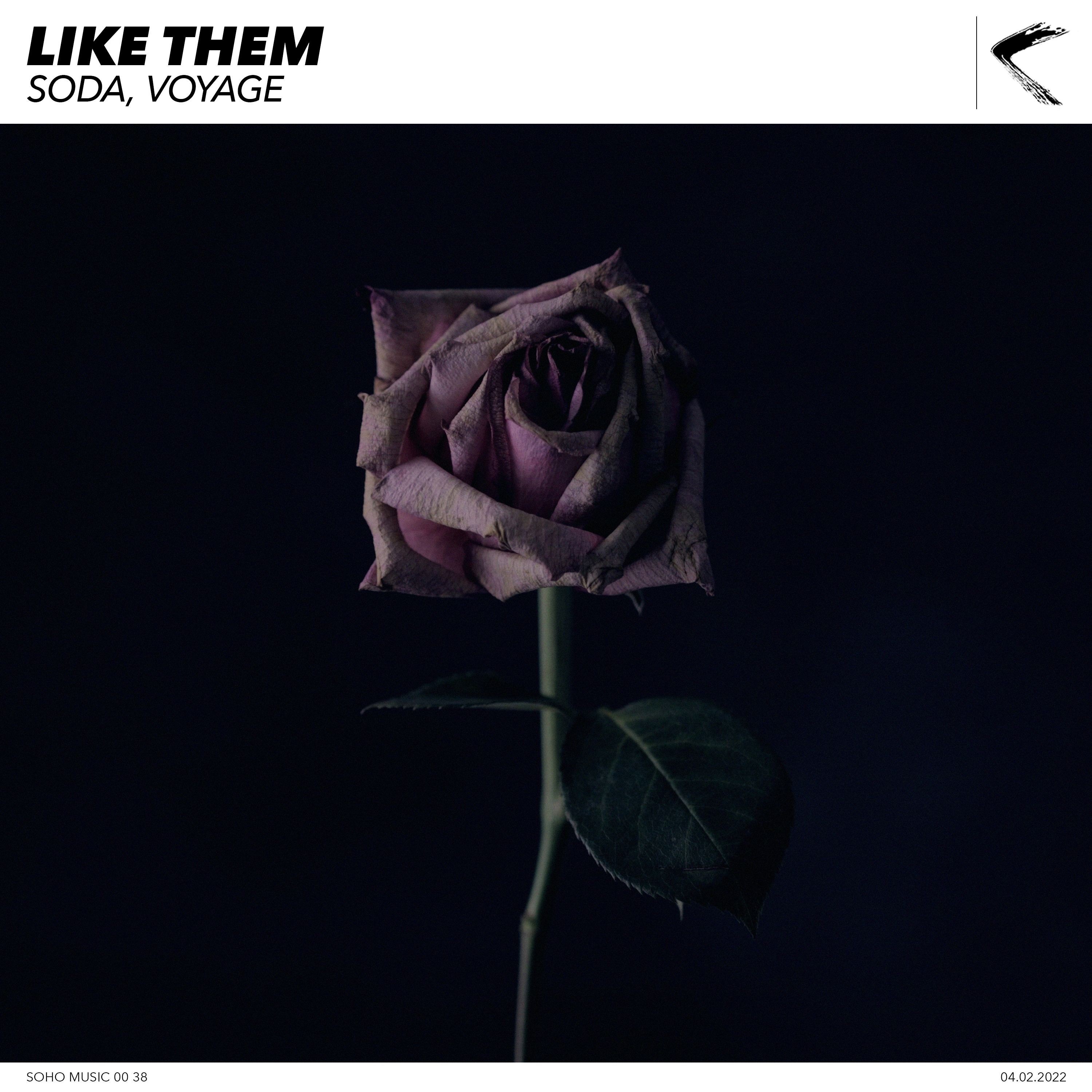Like Them - Single