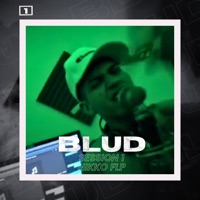Session 1  Blud (feat. AKG Remix & Blud) - Single - Nikko FLP