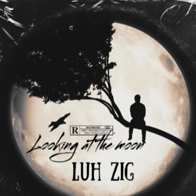 Looking at the moon (Radio Edit)