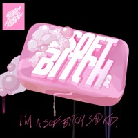 Soft Bitch (feat. Ally Ahern) - Single - Studio Killers