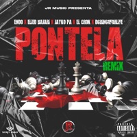 Pontela (feat. El Crok, D Gringo & Jayko Pa) [Remix] - Single - Endo & Elied Bajari