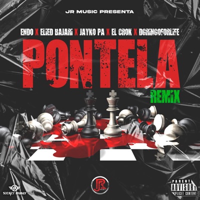 Pontela (feat. El Crok, D Gringo & Jayko Pa) [Remix] - Single