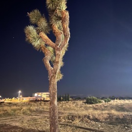 To My Creator Mark Konye