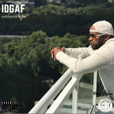 IDGAF (feat. Pain In Da Ass) - Single