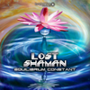 Equilibrium Constant - Lost Shaman