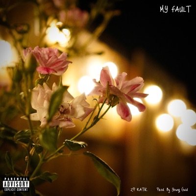 My Fault - Single
