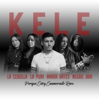 Porque Estoy Enamorado (Remix) [feat. La Puri & María Artés] - Single - Kele, Negro Jari & La Cebolla