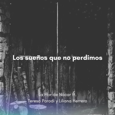 Los Sueños Que No Perdimos (feat. Liliana Herrero & Teresa Parodi) - Single