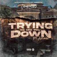 Trying To See You Down (feat. APLOOK) - Single - J Hundo 1105