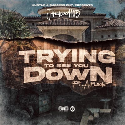 Trying To See You Down (feat. APLOOK) - Single