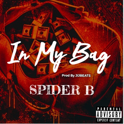 In My Bag - Single