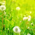 Solsol and Sulwaram