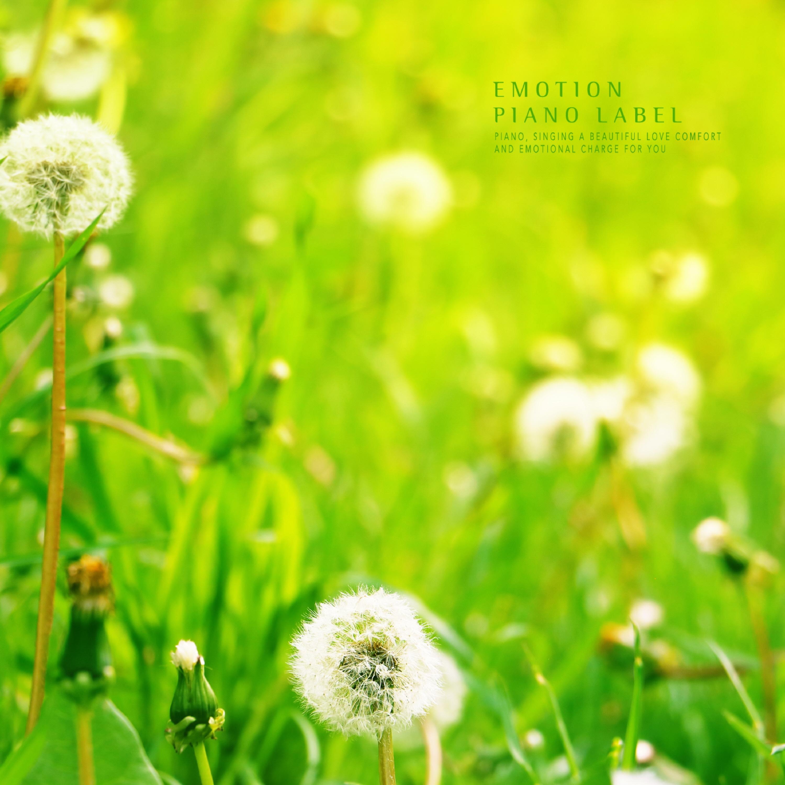 A sleeping piano that leads to a happy dreamland