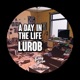 A Day In the Life Single