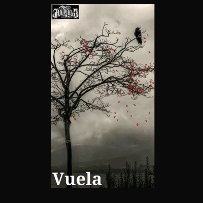 Vuela (feat. Padrino v & Kiuber 5) - Single