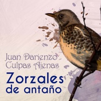 Zorzales de Antaño - Juan Darienzo - Culpas Ajenas - Orquesta de Juan D'Arienzo