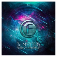 Flash / Maharaja - Single - DJ Mystery