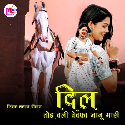 Dil Tod Chali Bewafa Janu Mari - Single