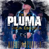 De La Pluma Y Vieja Escuela - Miguel Padilla