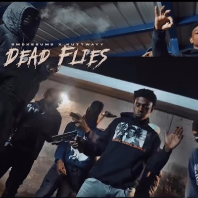DEAD FLIES (feat. Kuttwayy) - Single