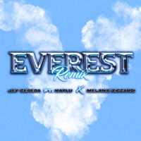 Everest (Remix) - Single - Jey Cepeda, melanie ziccardi & kaplu