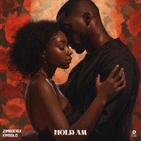 Hold Am - Single - Zimbocrix & Kinsolo