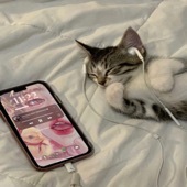 iPhone Cat :3 artwork