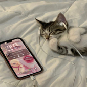 lil meow on da beat - iPhone Cat :3