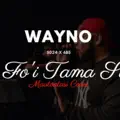Toe Fo'i Tama Savaii