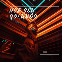 Her Şey Yolunda - Single - Haso76