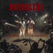 Bandolera artwork