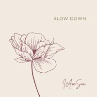 Slow Down — IAMSON
